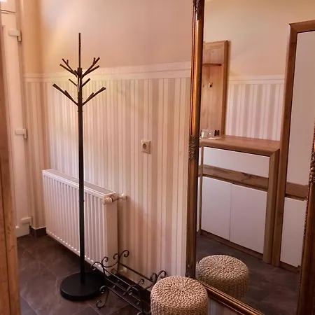Akacvirag Airport Viki Apartment *