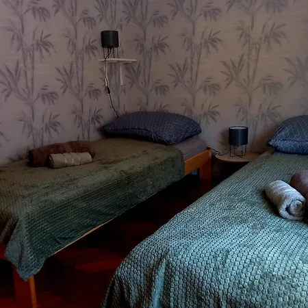 Akacvirag Airport Viki Apartment *